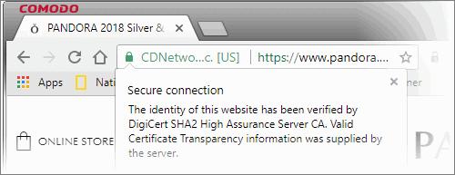 means you cannot verify the authenticity of the website.