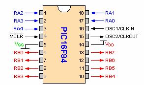 PIC Microcontrollers: PIC 16F84 PORTA and PORTB are physical connections between the microcontroller and the outside world. Port A has five, and port B has eight pins.