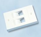 white, RAL 9010 WAXWSE-00001-C008 Combi-frame, 67x110 mm, for mounting 2