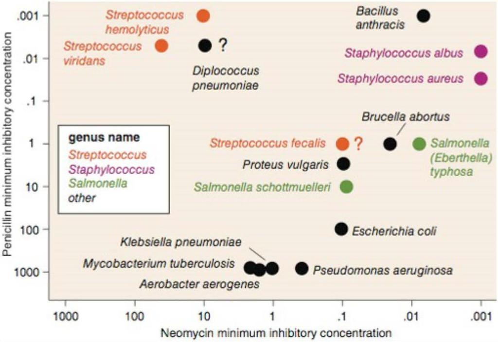 Exploratory Data Analysis How do the bacteria group