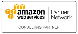 Partner with LTech AWS Consulting Partner Customer infrastructure/systems assessment and strategy formulation o o o o o History in Enterprise Search and ediscovery with consideration of an