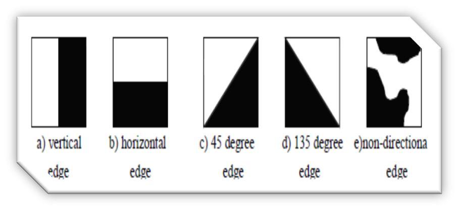 arbitrary edge without any directionality, then it is classified as a non-directional edge. Normalized edge histogram descriptor is collected for image retrieval process.