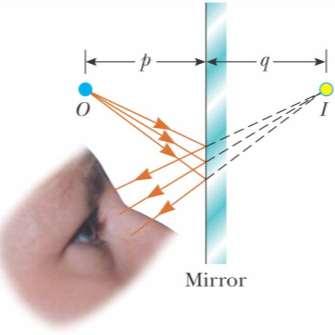 Images Formed by Flat Mirrors Light rays leave the source and are reflected from the mirror Images are always located by extending diverging rays back to a point at which they intersect One ray
