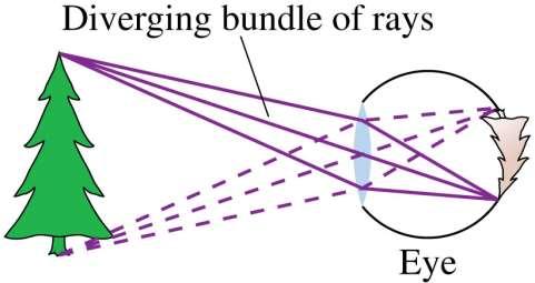 The Ray Model of Light An object is a source of light rays.