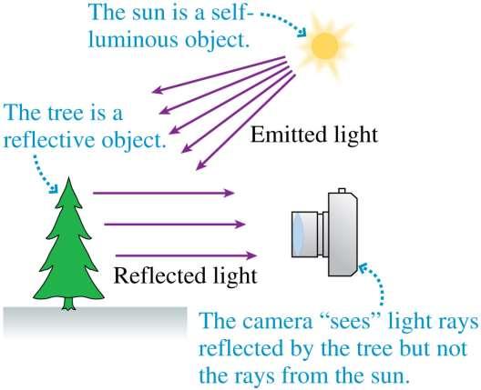 Objects Objects can be either self-luminous, such as the sun, flames, and