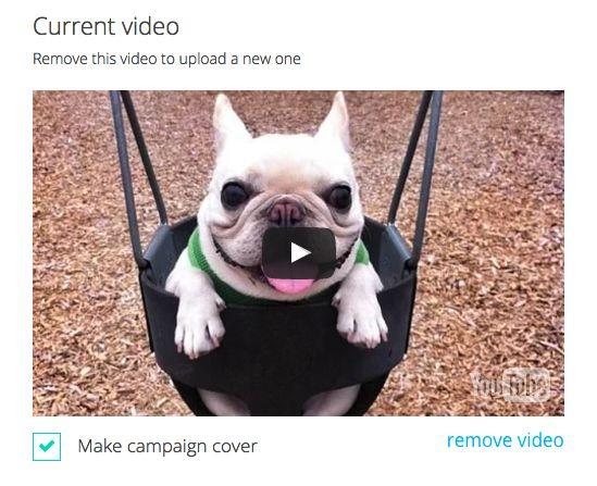 compelling. To upload your video, insert the link in the blank space.