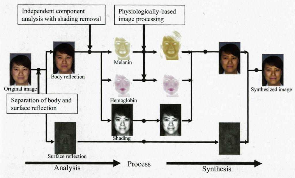 Schematic flow of the imaging process in proposed imagebased skin color and