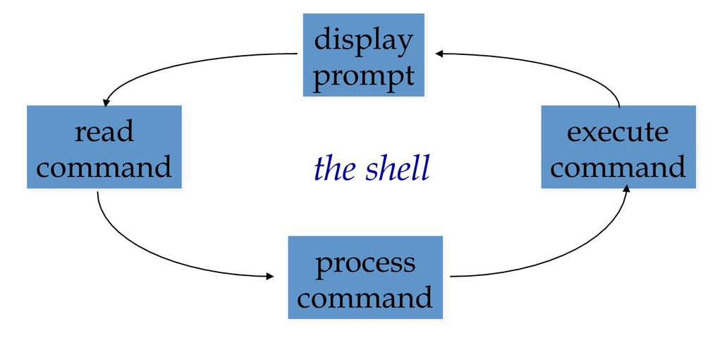 How does Unix work? What does the shell do?