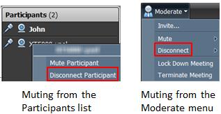 Moderating Other Participants About this task Moderator is a participant who can control other participants in a videoconference, for example, to mute or disconnect them.