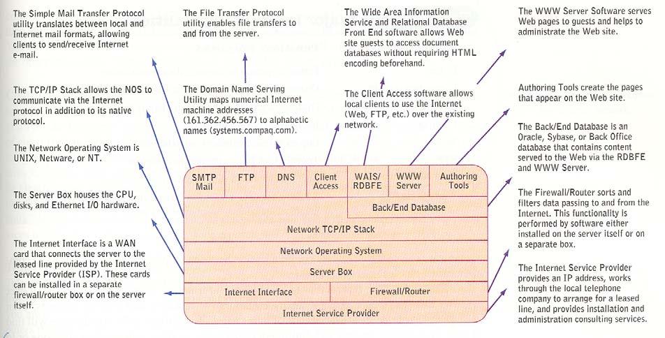 Web Server Software As it was mentioned above, a server computer is used to host or provide services to a client