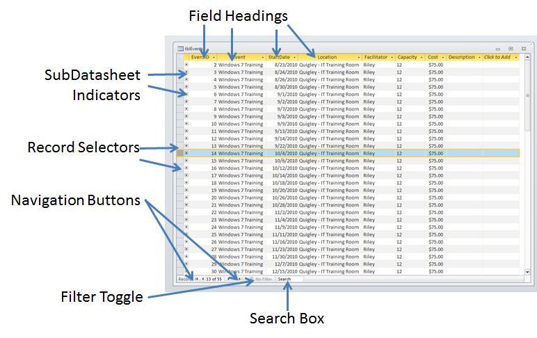 DATASHEETS All tables and most queries open in Datasheet View. The Datasheet View displays multiple records in a table layout. Field Headings Column headings for each field in the datasheet.