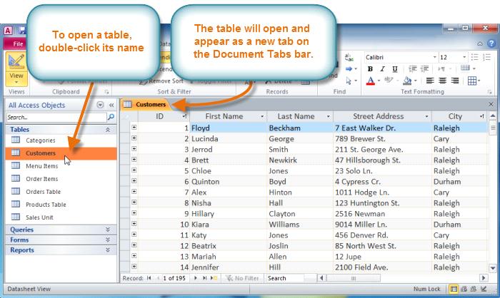 3. Double-click the name of the table. It will open and appear as a tab in the Document Tabs bar.