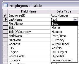 Access 2010 Intermediate Page 141 What is meant by 'Field data types'? A field must have a specific data type format.
