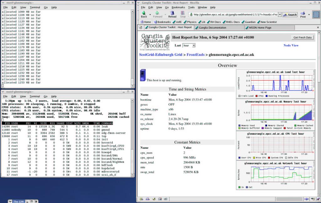 Figure 6.3: The leak program output, a terminal running the top utility and the Ganglia webpage.