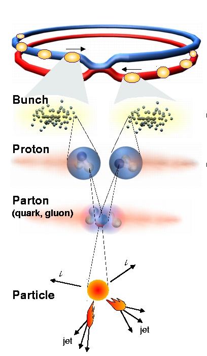 Large Hadron Collider LHC Proton- Proton Collision Beam energy : 7