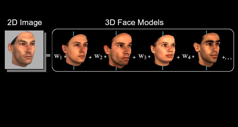 Building a Morphable Face Model