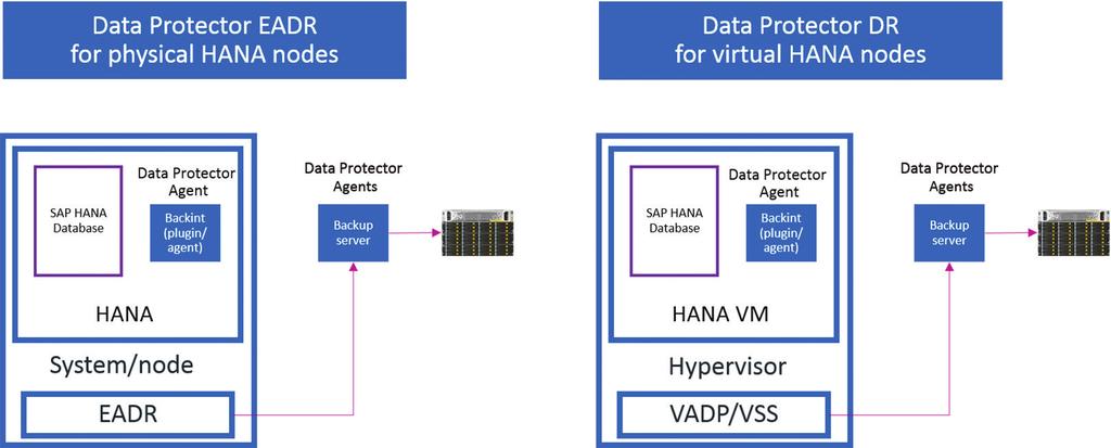 White Paper How to Protect SAP HANA Applications with the Data Protection Suite Snapshot procedures follow the same workflow, to a certain extent.