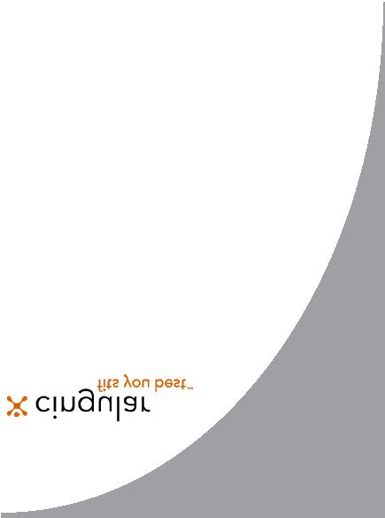 Cingular Xpress Mail System Pocket