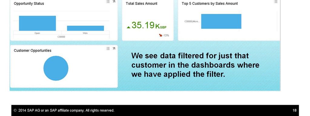 customer, we see data filtered for just that