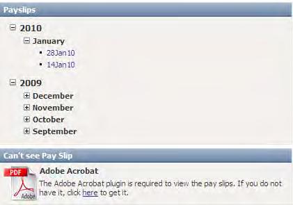 Adobe Acrobat X Pro / Acrobat Reader DC If you have either of these versions of Adobe Acrobat installed you will need to hover the mouse cursor over the bottom of the payslip for the toolbar to