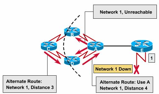 Routing Loops Routing loops can occur if the network s slow convergence