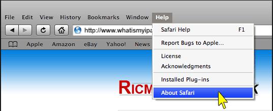2b) Safari How to check?