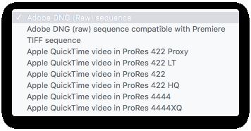 A: Export Format Options DNG Sequence: Export the DNG sequence. TIFF Sequence: Convert the DNG sequence to TIFF format and export. ProRes: Export the DNG sequence as a movie clip encoded in ProRes.