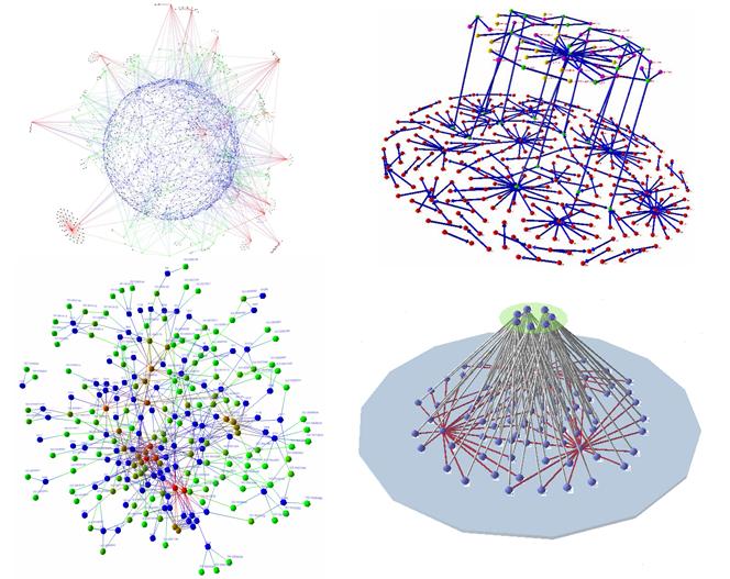 . Graph/Network Models Graph models Tree/planar graphs Clustered graphs Hierarchical graphs Directed graphs Hyper-Graphs Hi-graphs Network models Scale-free networks Evolution networks Dynamic