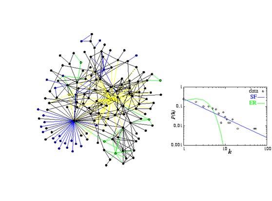 static network topology PROBLEM: Real networks are dynamical systems!