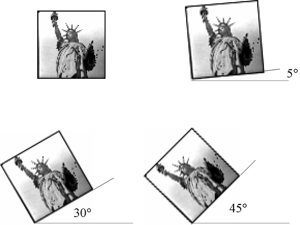 18.4 PIXEL INTERPOLATION 457 18.4.1 Example: Image Rotation The examples are small (64 64) images rotated by the degree increments specified.