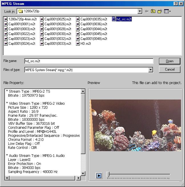 Selecting a) b) or c) makes the "MPEG Stream" dialog box appear so select the desired MPEG file. Selecting an MPEG file allows using preview and viewing the MPEG file in detail.