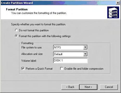 Click Format this partition with the following