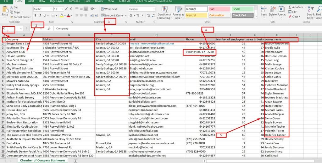 Here is an example of a CSV with some bad data that should be cleaned up before import. Item #1 Shows the header row.
