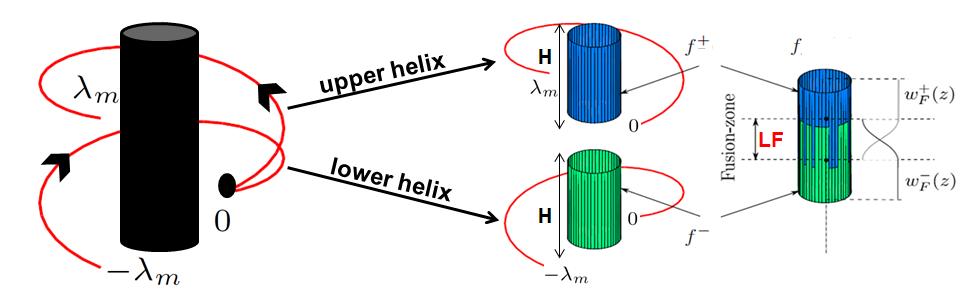 Figure 4: Illustration of the reverse helical geometry and the fusion process in the Fusion-RFDK algorithm [8].