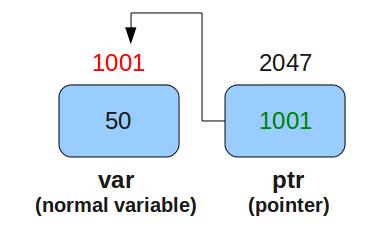 The general form of a pointer variable declaration is: type *variable_name; Here, type is the pointer's base type; it must be a valid C data type and variable_name is the name of the pointer variable.