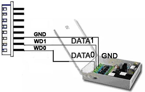 Installation ground ports of them have to be properly together to ensure the weigand transfer reliable Terminal(J12) Pin6- GND(Black) Pin7-WD1(White) Pin8- WD0(Green) Function Ground Output wiegand
