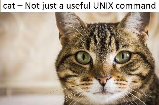Using UNIX Shell Scripting to Enhance Your SAS Programming Experience By James Curley ABSTRACT This series will address three different approaches to using a combination of UNIX shell-scripting and