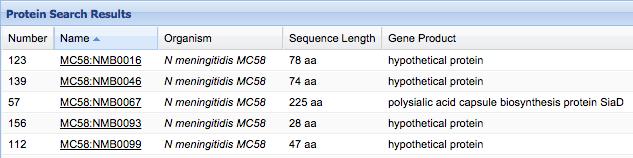 5. Click on the name of the gene MC58:NMB0016 which is annotated as a hypothetical protein to go to the protein report page.