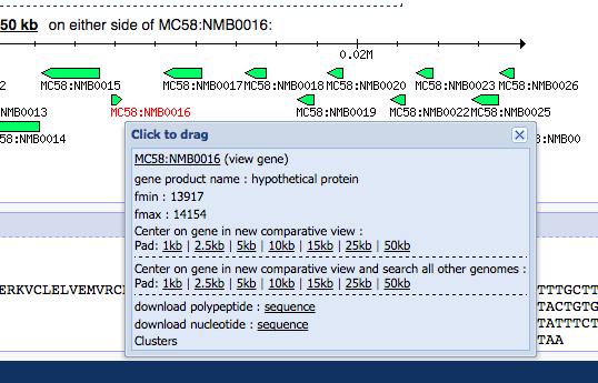 7. Click on the 10kb link just below Center on gene in new comparative view. Clicking this link will take you to the Genomic Comparative View and will center your view on this gene s coordinates.