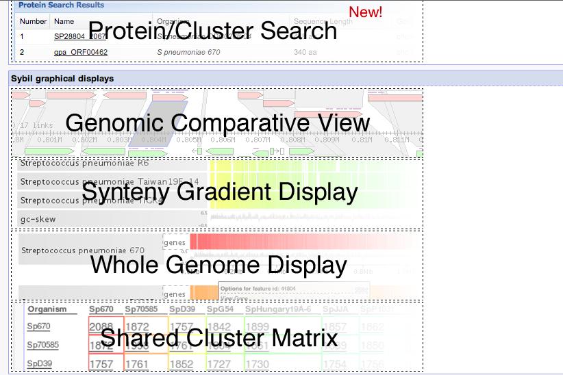 Gradient display Lastly we ll look at the whole- genome gradient display. 1.