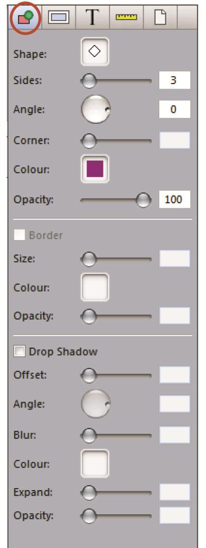 8.0 Inspector Panel The Inspector Panel runs down the right hand-side of the software. In here you can change or alter the appearance of any picture boxes, text boxes or shapes.