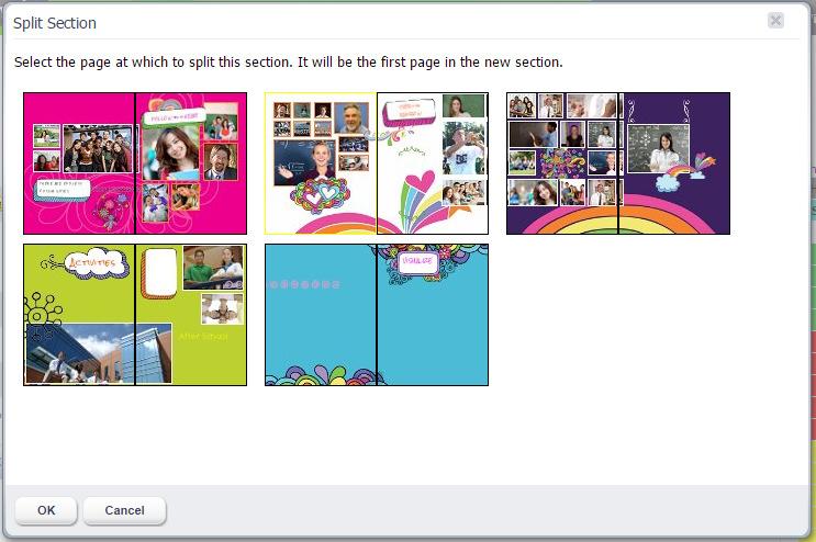 Yearbook Pro End User Guide 18 You can only split a section with a status of In Progress. You cannot split a section with a status of Checked Out, Complete, or Reviewed. The Split Section dialog.