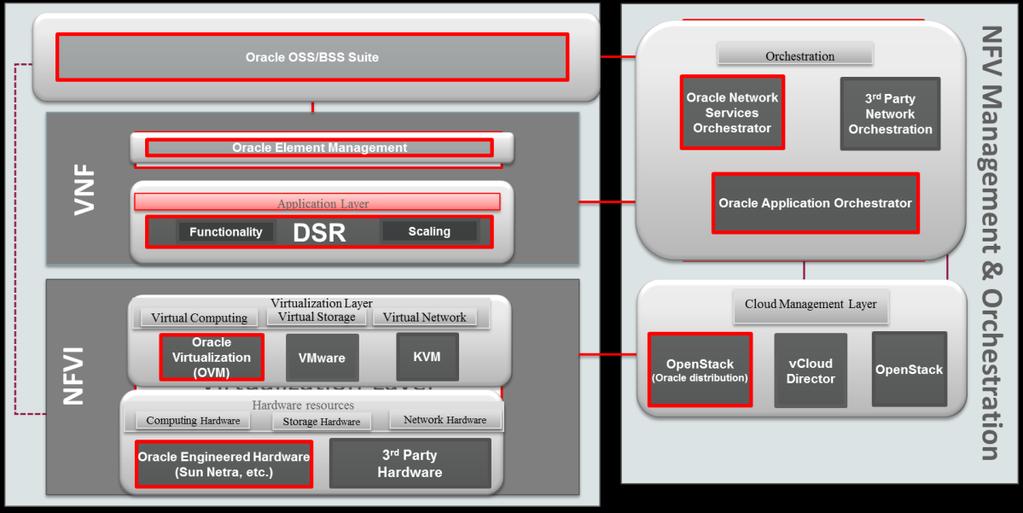 Function Virtualization (NFV). Virtualized DSRs can also be deployed with any existing physical DSR in CSP networks.