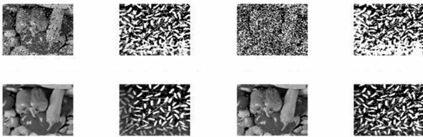 Image Watermarking with RDWT and SVD using Statistical Approaches Salt and pepper(0.001) Salt and pepper(0.01) Salt and pepper(0.1) Salt and pepper(0.5) Speckle(0.3) Speckle(0.