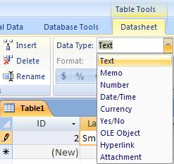 Hillsborough Community College - CITT Faculty Professional Development Create a Table In Datasheet View Creating a table in Datasheet View gives you access to the field names (data headings), data