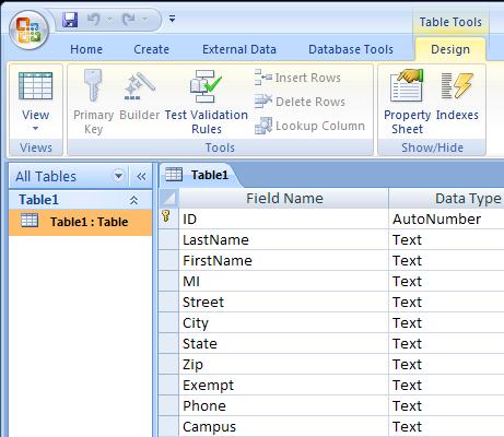 . In the Home tab>views group, select Datasheet View.. Under FirstName, type in new data. e.g. Sue 4.