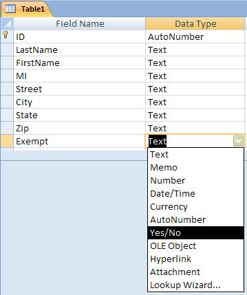 Using the Yes/No format is helpful for simple, clear-cut answers. You can edit data types in either Datasheet View or Design View.