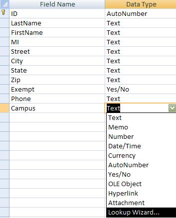 In this example, a drop-down menu is created by using the Lookup Wizard, which will connect to tblcampus. To use the Lookup Wizard the table must be in Design View.
