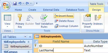 In this example, click on the field name LastName.. In the TableTools/Design