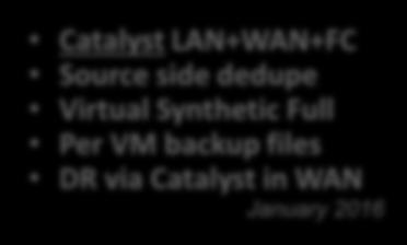 Catalyst LAN+WAN+FC Source side